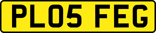 PL05FEG