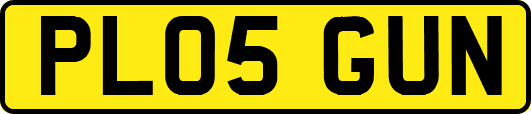 PL05GUN