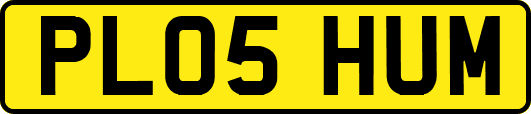 PL05HUM