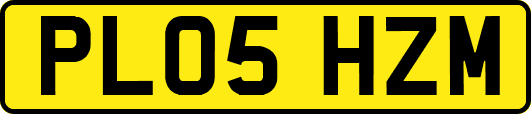 PL05HZM