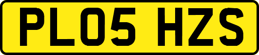 PL05HZS