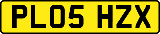 PL05HZX