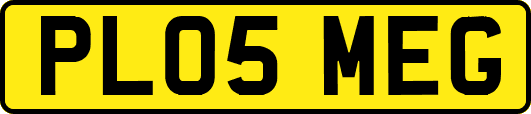 PL05MEG