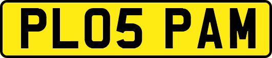 PL05PAM