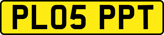 PL05PPT