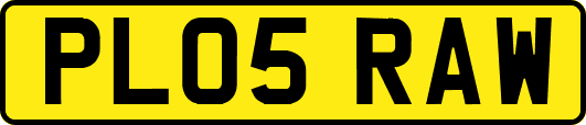 PL05RAW