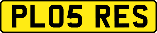 PL05RES