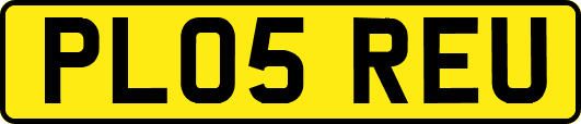 PL05REU