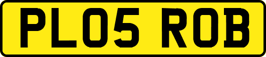 PL05ROB