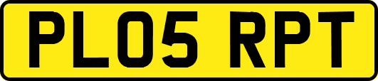 PL05RPT