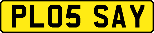 PL05SAY