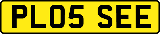 PL05SEE