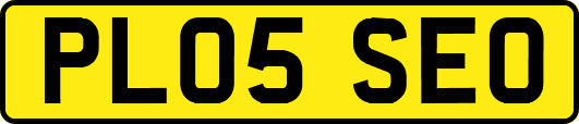 PL05SEO