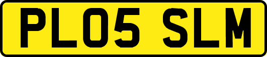 PL05SLM