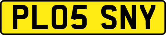 PL05SNY