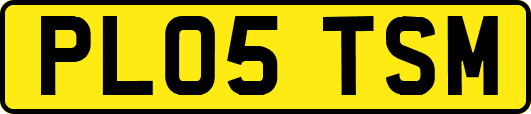 PL05TSM
