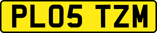 PL05TZM