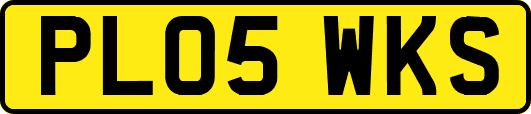 PL05WKS