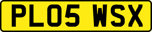 PL05WSX