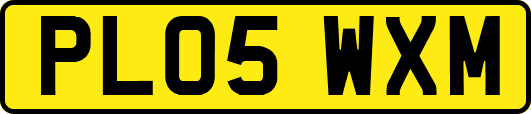 PL05WXM