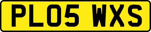 PL05WXS