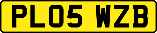 PL05WZB