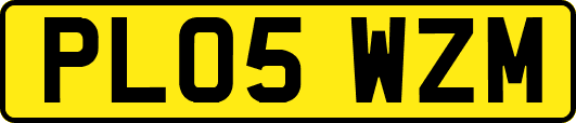PL05WZM