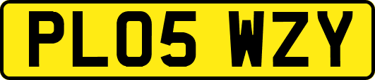 PL05WZY