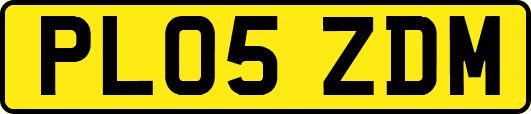 PL05ZDM