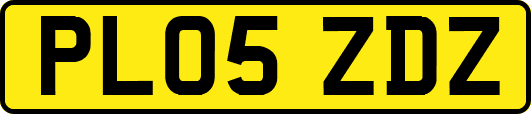 PL05ZDZ
