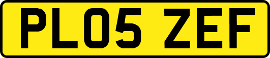 PL05ZEF