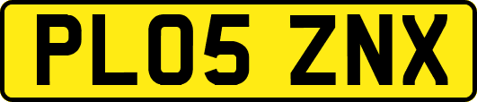 PL05ZNX