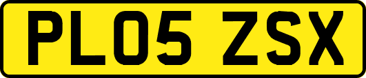 PL05ZSX