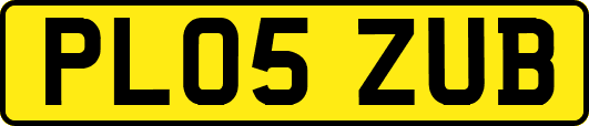 PL05ZUB