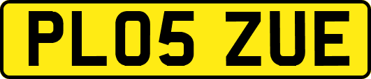 PL05ZUE