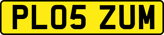 PL05ZUM