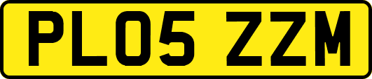PL05ZZM