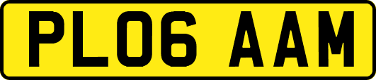 PL06AAM