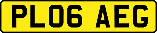 PL06AEG