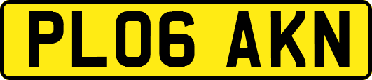 PL06AKN