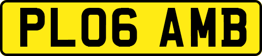 PL06AMB