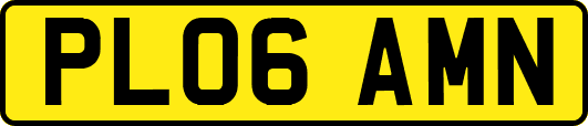 PL06AMN
