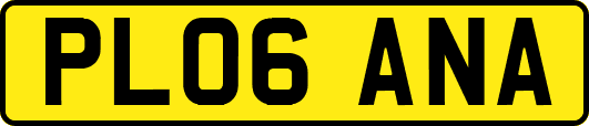 PL06ANA