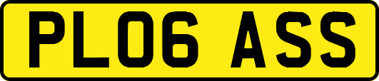 PL06ASS
