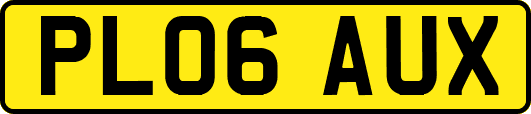 PL06AUX