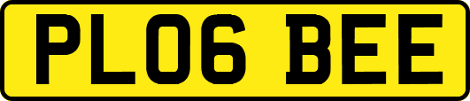 PL06BEE