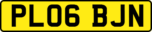 PL06BJN