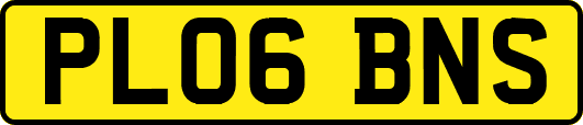 PL06BNS