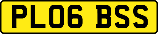 PL06BSS