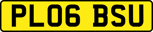PL06BSU